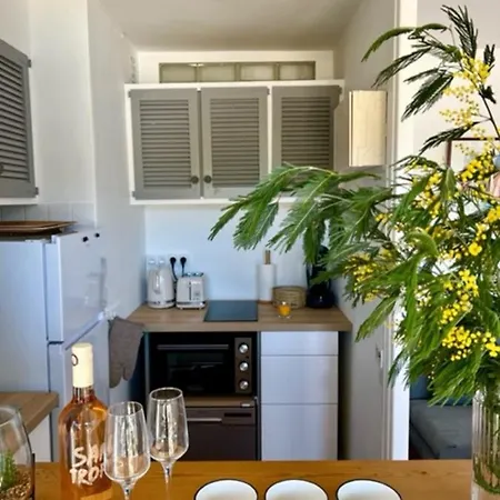 35m With Pool For Couple In Tropez Apartment *